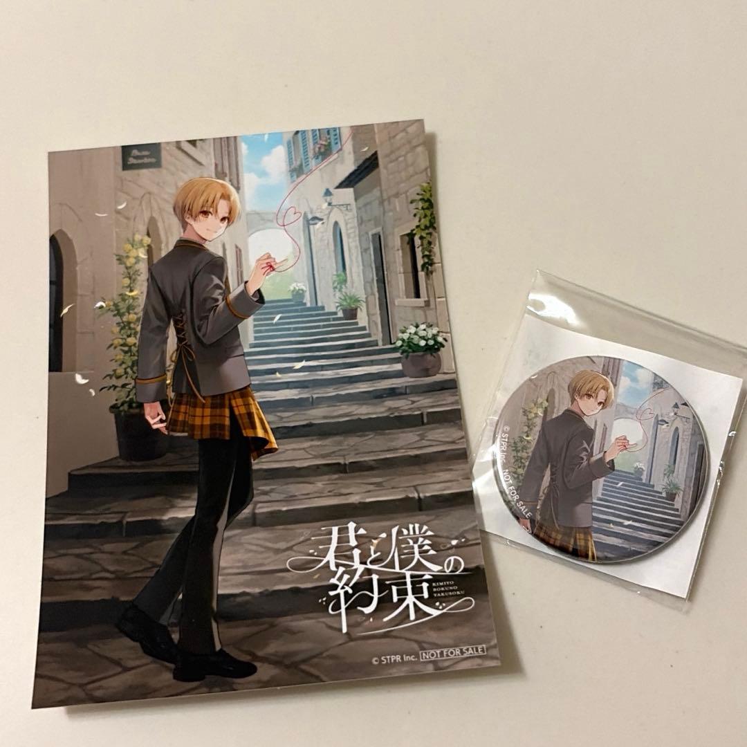 君と僕の約束 初回限定版bるぅとくん るぅとアルバム缶バッジブロマイド