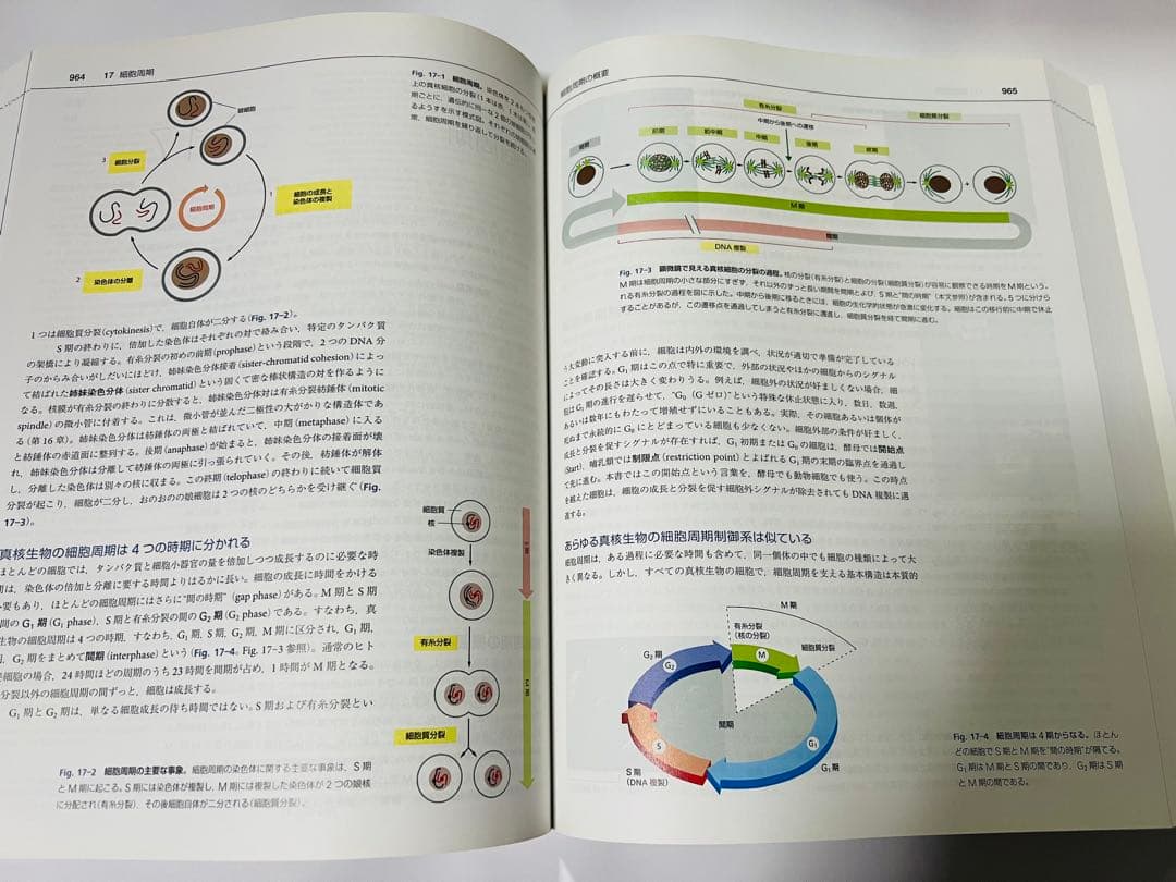 細胞の分子生物学第6版