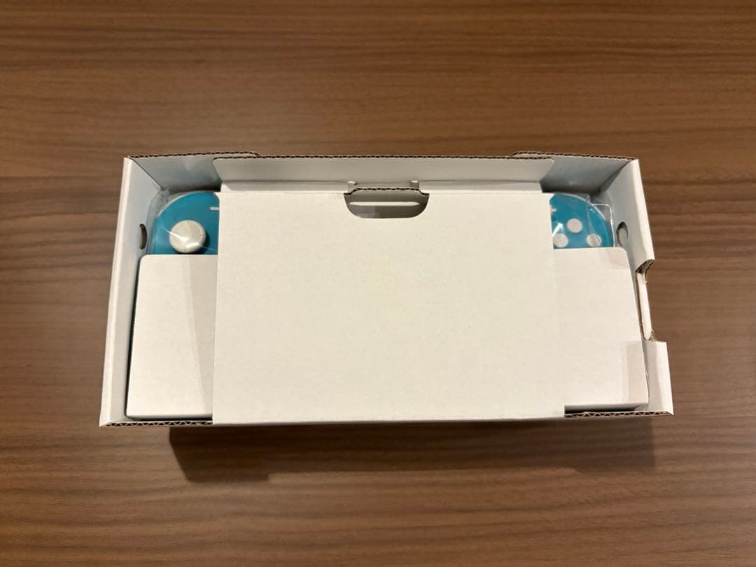 Nintendo Switch Lite ターコイズ 本体　ケース付
