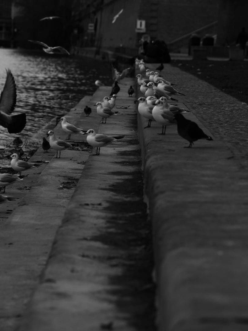 M.ZUIKO DIGITAL ED 75mm F1.8 ブラック