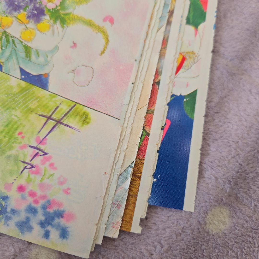 ミル・フルール 秋元奈美 カラーページ なかよし 扉絵 希少