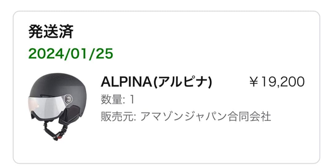 美品　アルピナ　ヘルメット　スキー　スノーボード