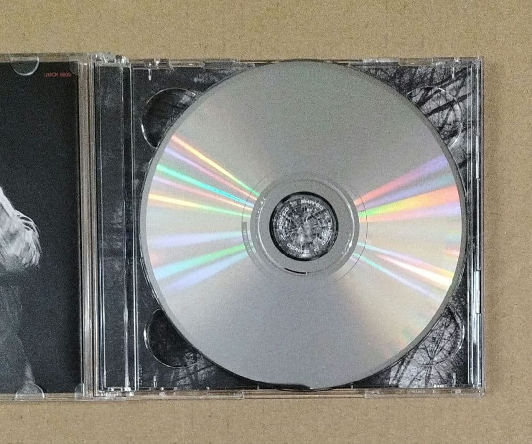 初回限定盤 the Birthday NOMAD CD+Blu-ray