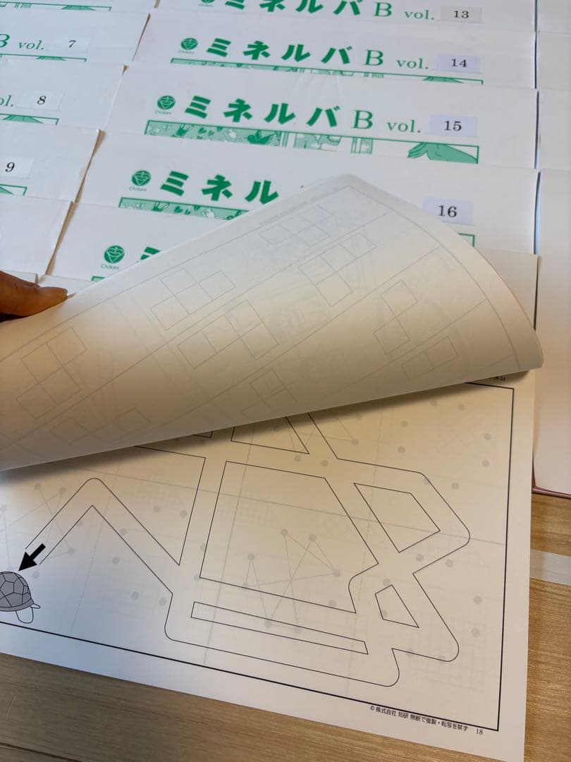 ミネルバ、ミネルバB、 (5-21)、19冊