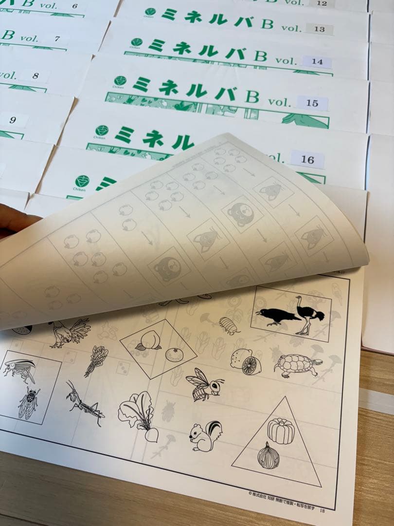 ミネルバ、ミネルバB、 (5-21)、19冊