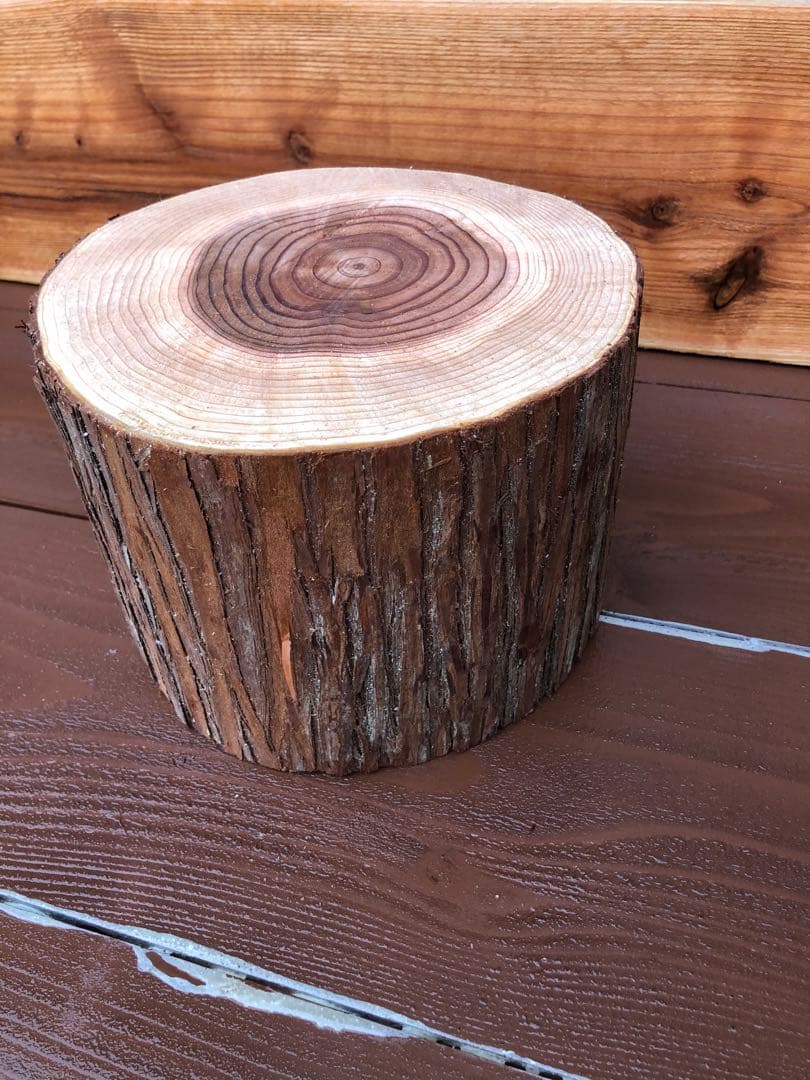 すずめ杉　丸太　6点