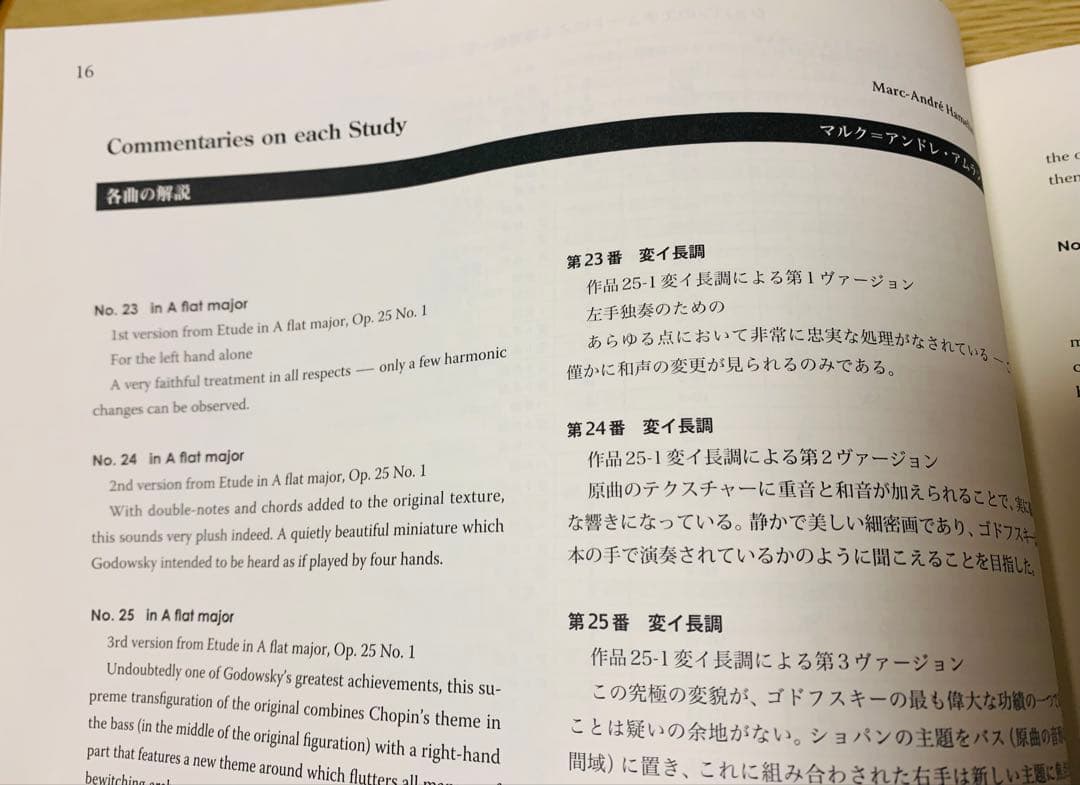 12日夜まで値下げ　絶版品　上下巻　GODOWSKY/Chopin Etudes