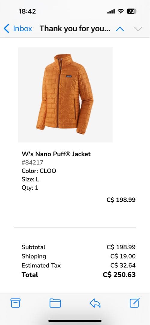 パタゴニア　レディースNano puff ジャケット(L)