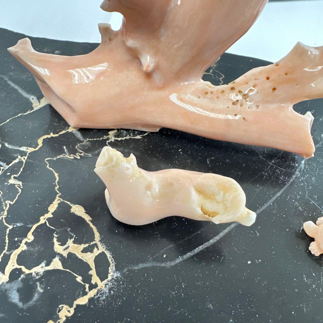 本ぼけ珊瑚　極太原木　赤珊瑚カメ　置物　約291gトコエ　東さ8-0104☆1F