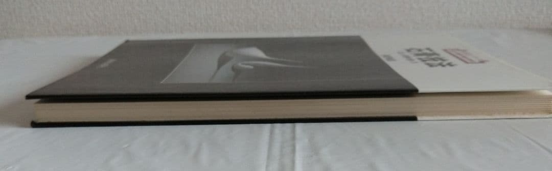 新技法シリーズ石膏技法 柳原明彦 1985年版