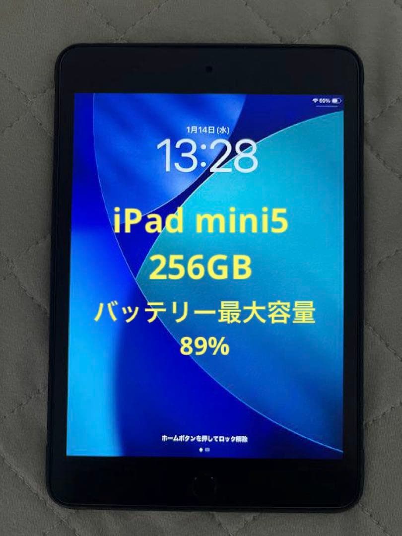 iPad mini5 256GB Wi-Fiモデル 保護フィルム ケースセット