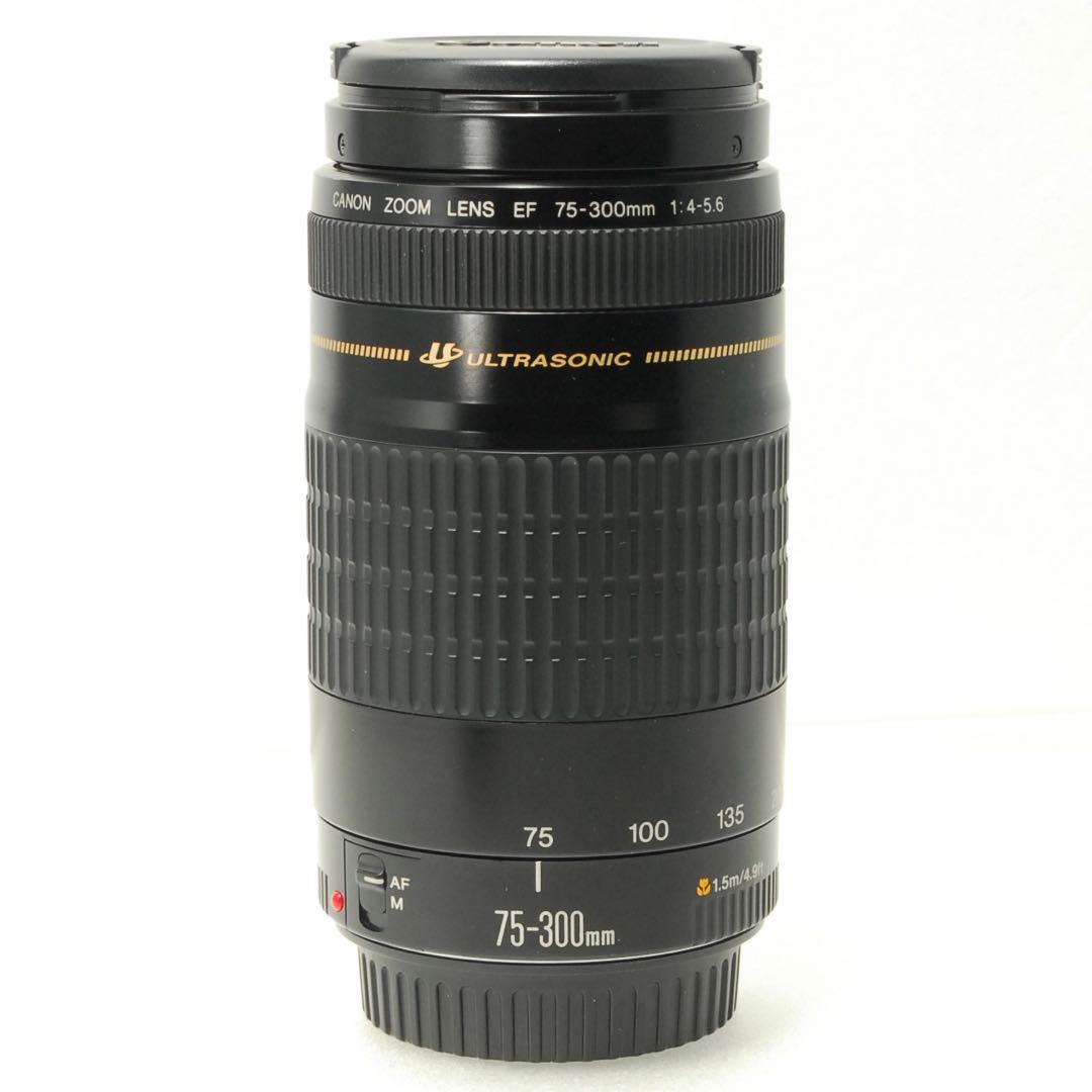 Canon EF 75-300mm USM ❤️ 望遠レンズ キヤノン 一眼レフ
