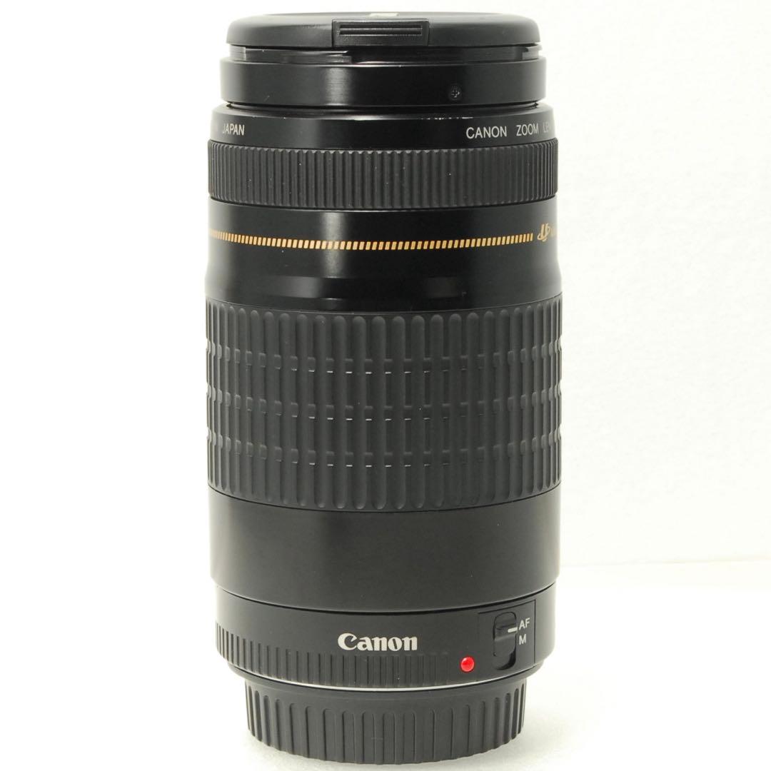 Canon EF 75-300mm USM ❤️ 望遠レンズ キヤノン 一眼レフ