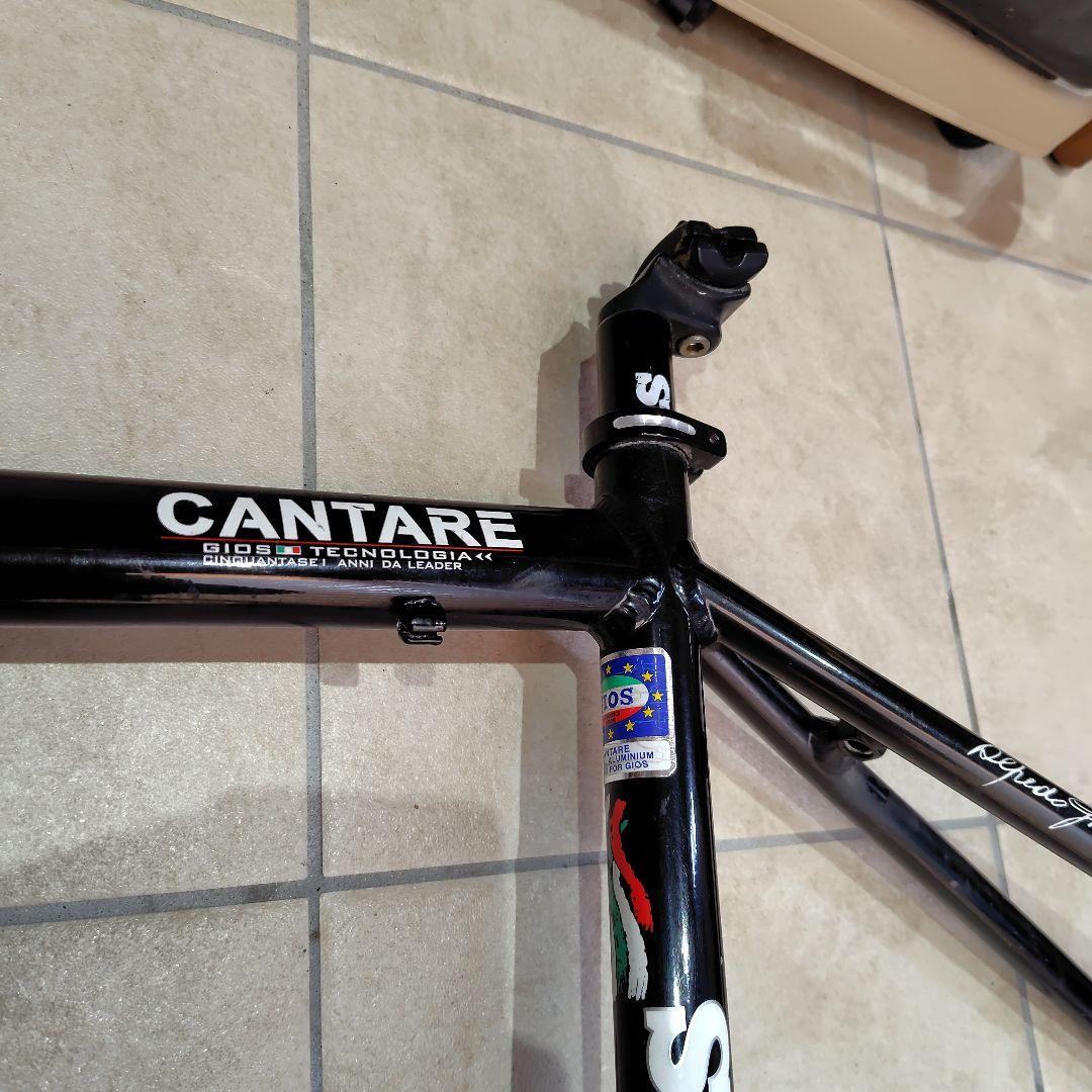 GIOS CANTARE ロードバイクフレーム　サイズ460