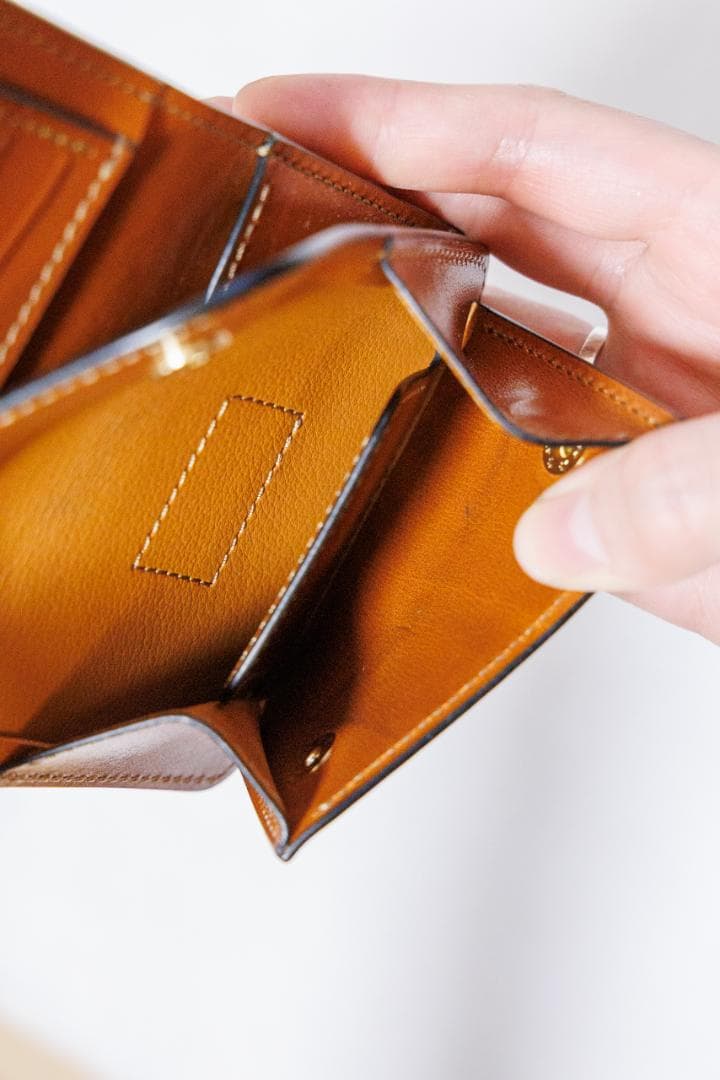 WILD SWANS TL-ENO イーノ キャメル 2025