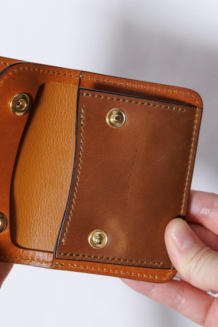 WILD SWANS TL-ENO イーノ キャメル 2025