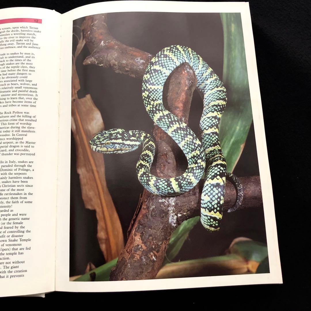 世界ヘビ図鑑「The Atlas of Snakes of the World」