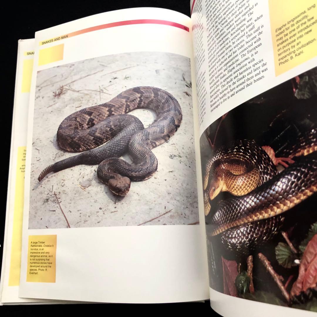 世界ヘビ図鑑「The Atlas of Snakes of the World」