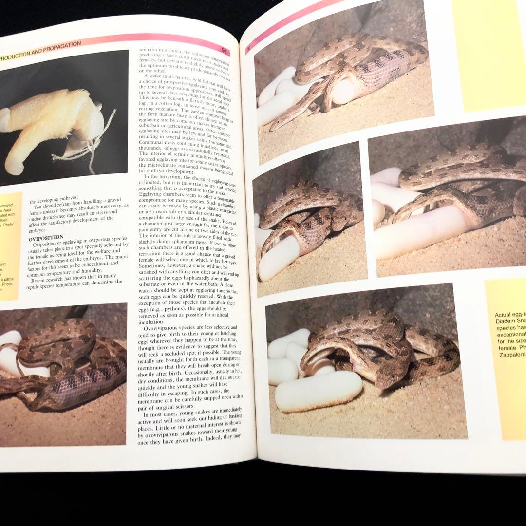 世界ヘビ図鑑「The Atlas of Snakes of the World」