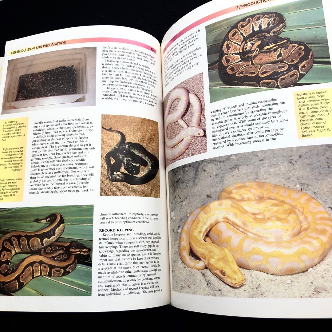 世界ヘビ図鑑「The Atlas of Snakes of the World」