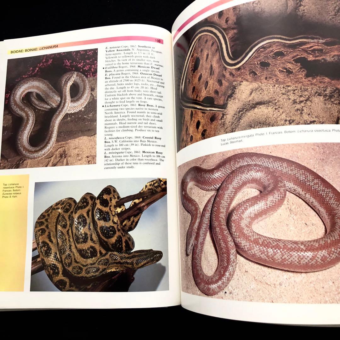 世界ヘビ図鑑「The Atlas of Snakes of the World」