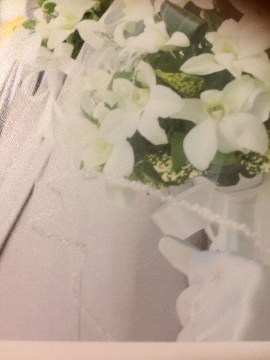 loco　ウェディングドレス 吉川ひなの アロヒナ ワタベウェディング