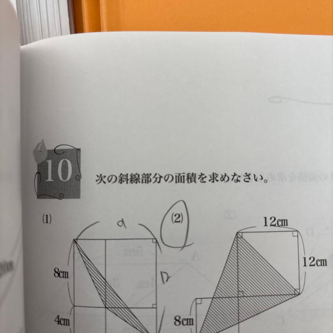 浜学園　小5 最高レベル特訓算数　テキスト＋復習テスト