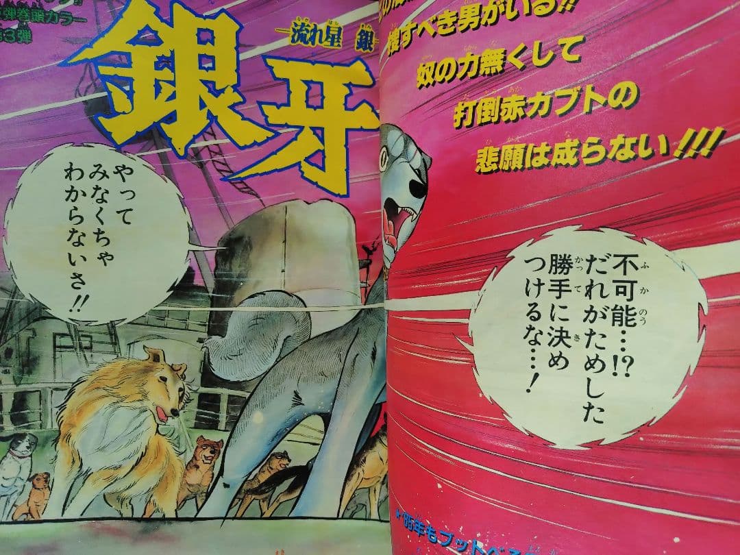 【週刊少年ジャンプ1985年7号】ドラゴンボール　表紙2回目　d