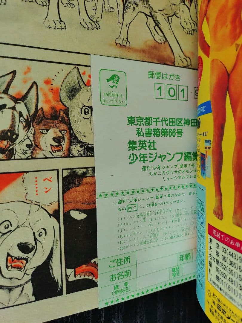 【週刊少年ジャンプ1985年7号】ドラゴンボール　表紙2回目　d