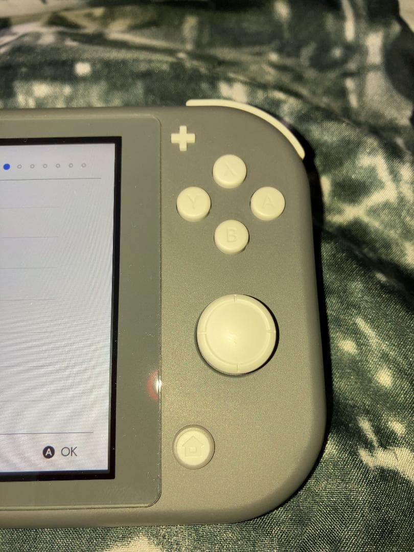【Switch Lite】おまけ多数128GBmicroSDカードやカバー等