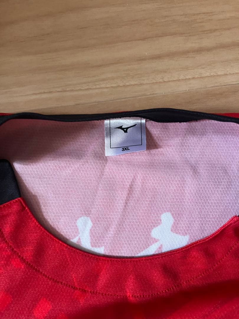 日本大学 バレーボール ユニフォーム