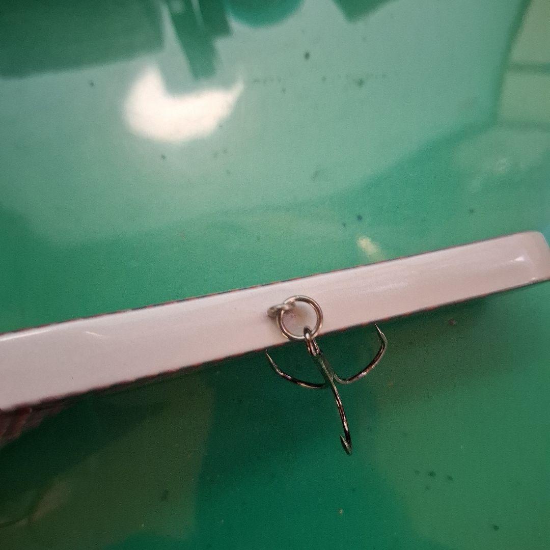 限定カラー　ワイルドルアーズ　ワイルドビート　ピラルク　フローティング