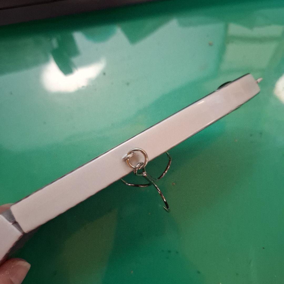 限定カラー　ワイルドルアーズ　ワイルドビート　ピラルク　フローティング