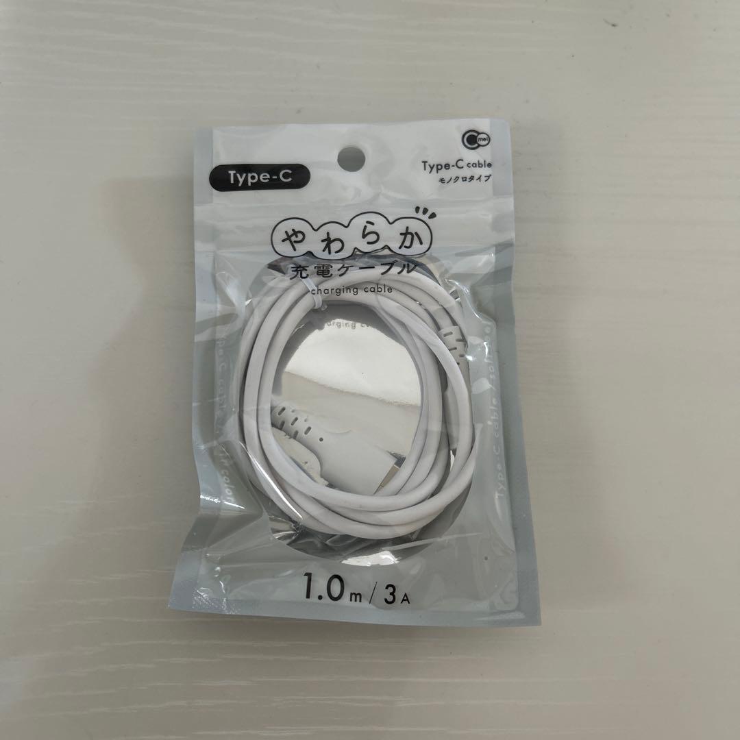 Nintendo Switch Lite ターコイズ（充電ケーブル付）