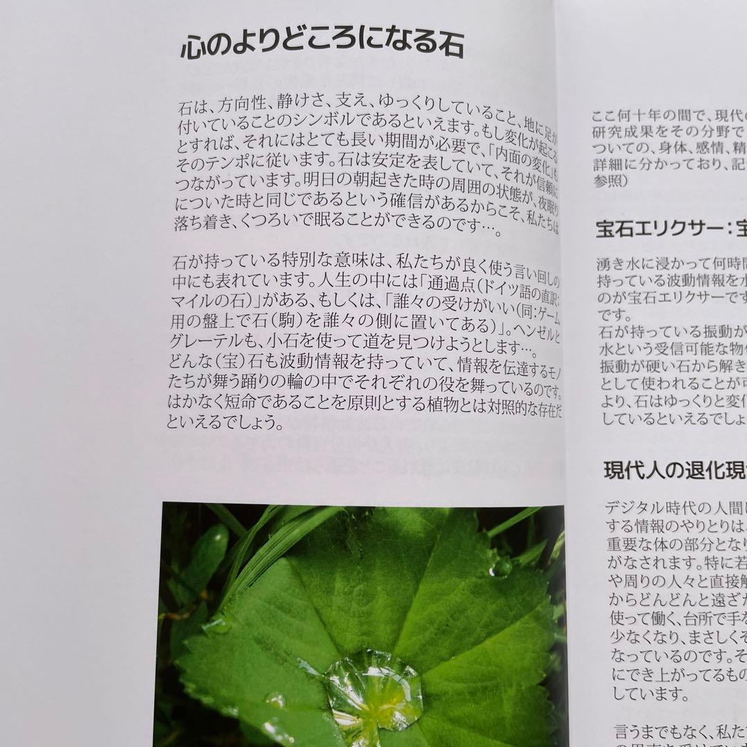 宝石と花 心に響くゼリツイン