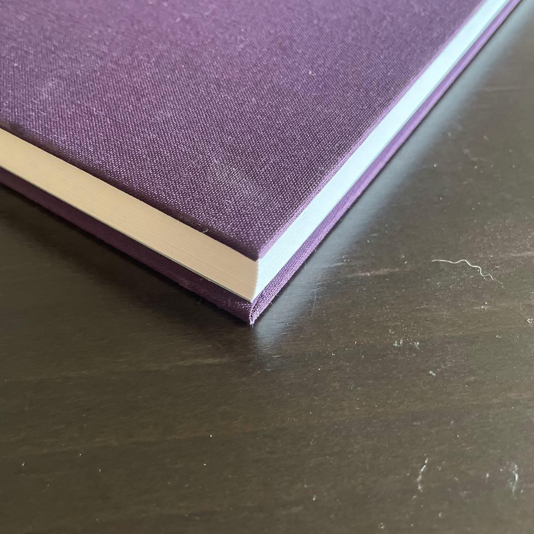 洋書 Eggleston: Mystery of the Ordinary