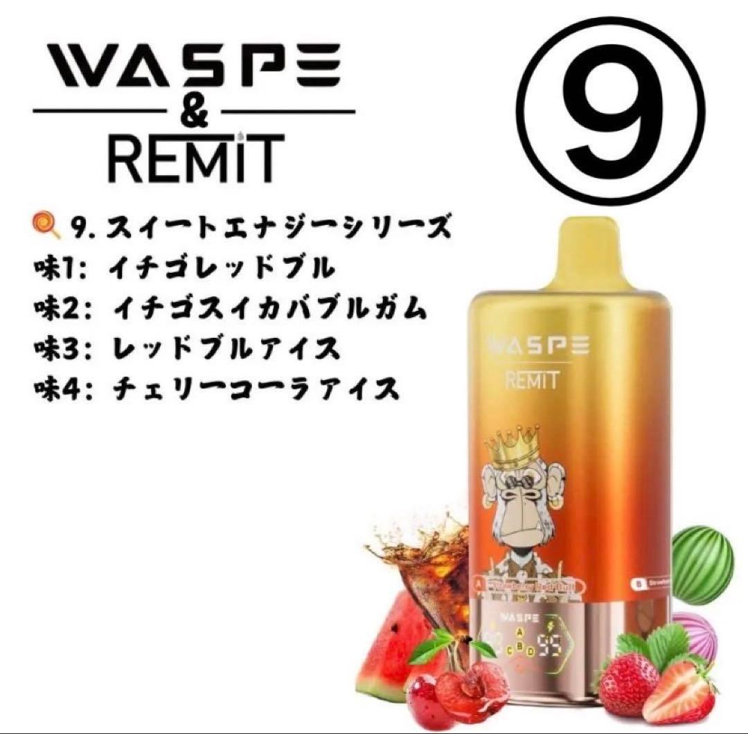 、様用　WESPE10万⑨✖️2