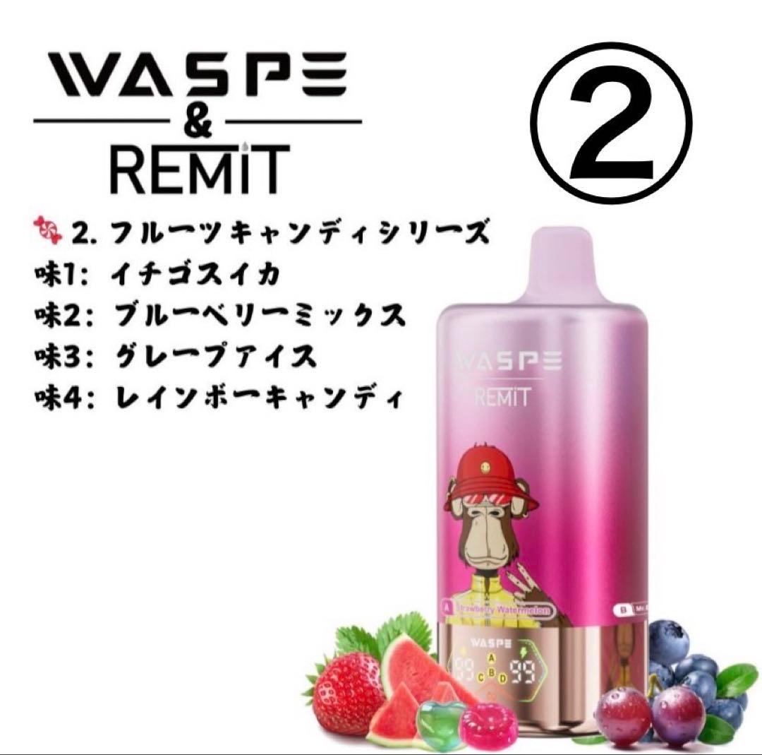 、様用　WESPE10万⑨✖️2