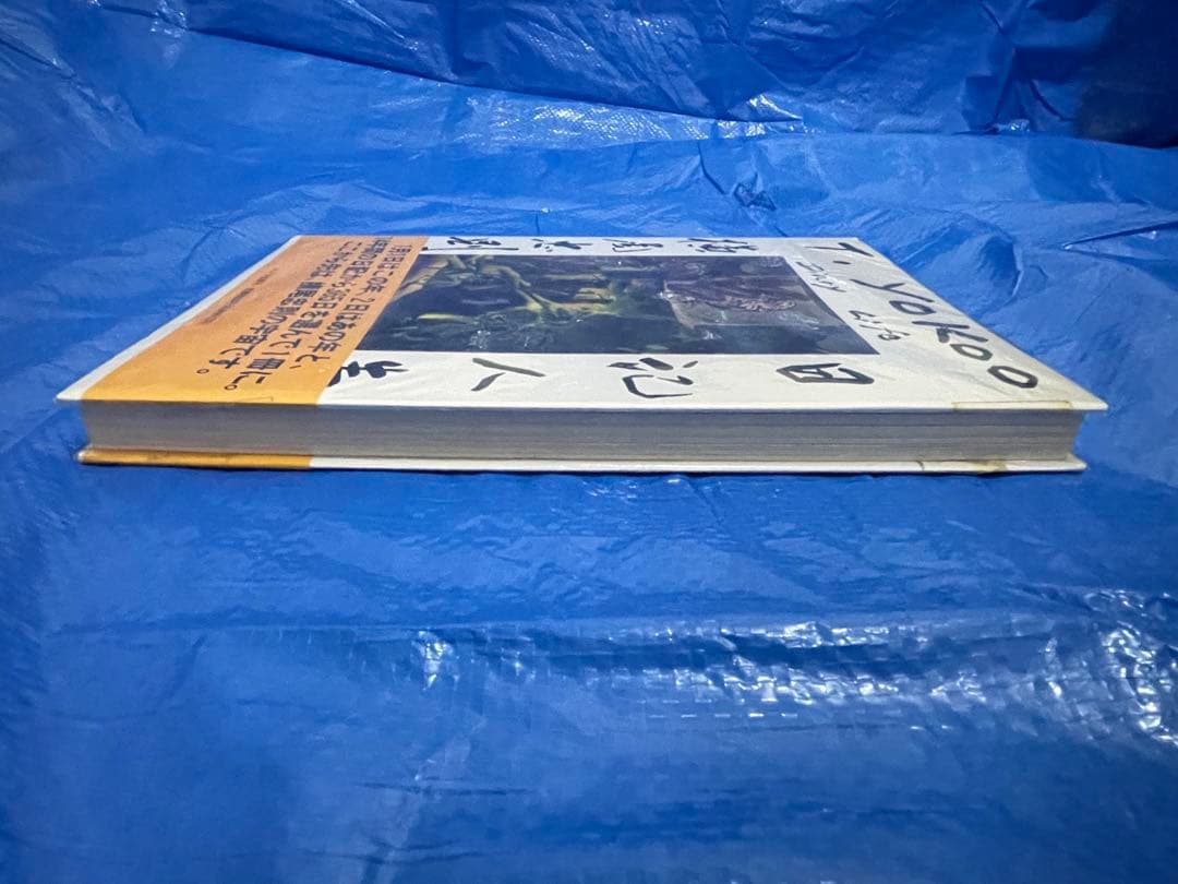 横尾忠則日記人生　１９８２～１９９５　帯付き　大型本　１９９５年