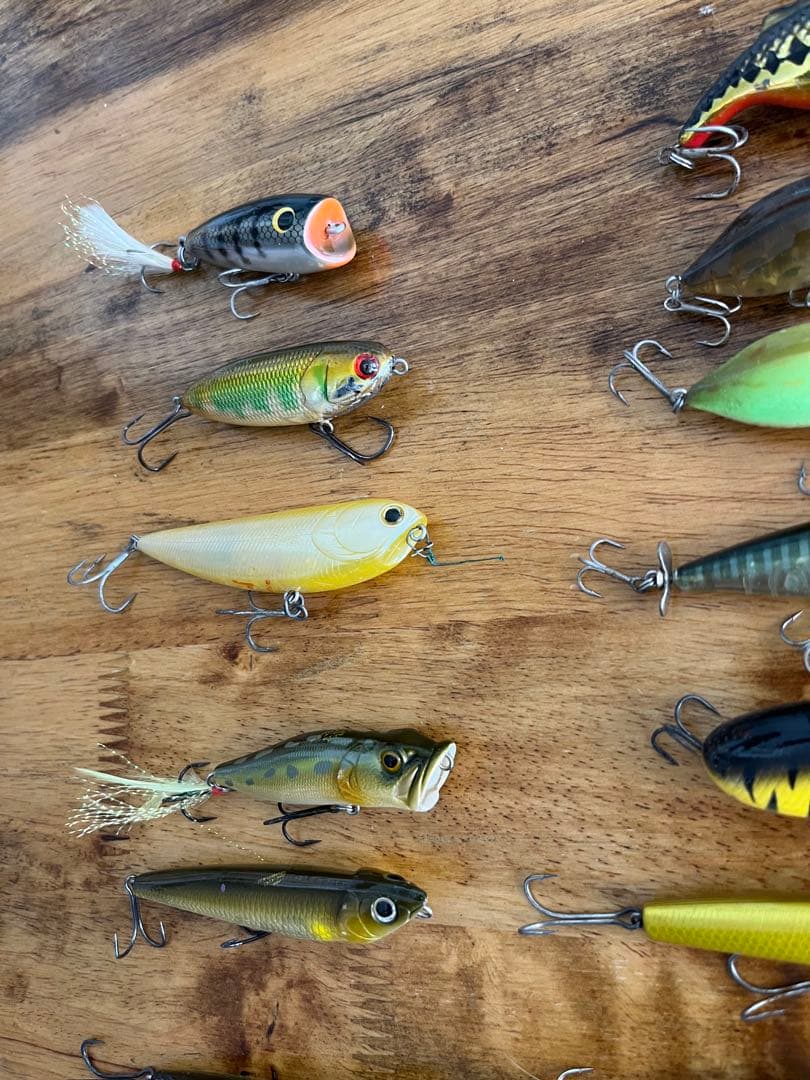 メガバス等　ルアー27点セット　ドッグX パロット入り