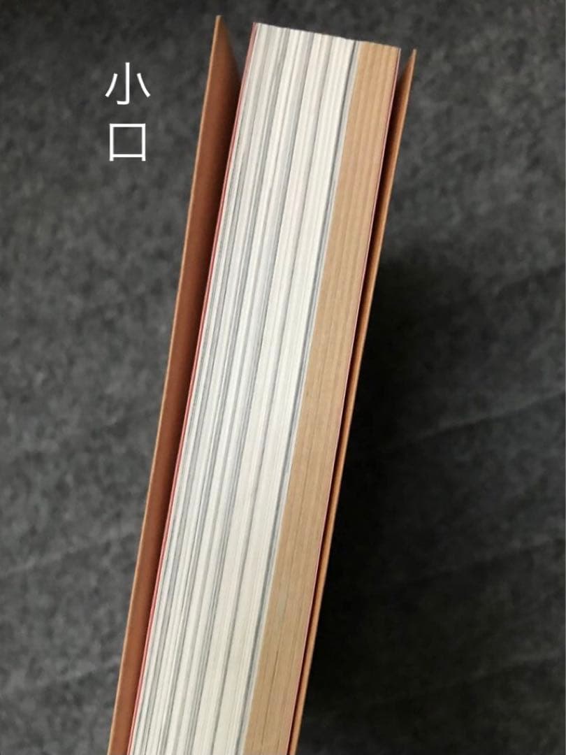 サウンドアート 音楽の向こう側、耳と目の間 /アラン・リクトAlan Licht