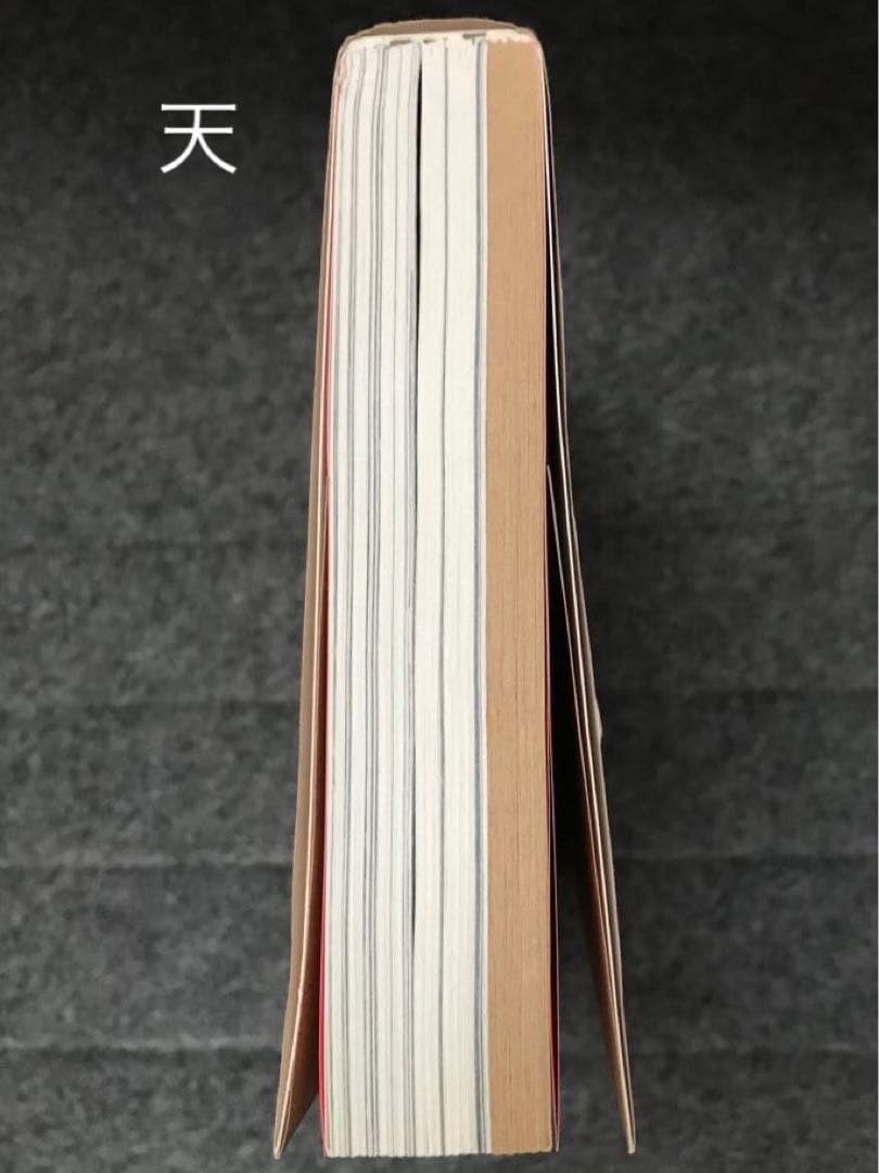 サウンドアート 音楽の向こう側、耳と目の間 /アラン・リクトAlan Licht