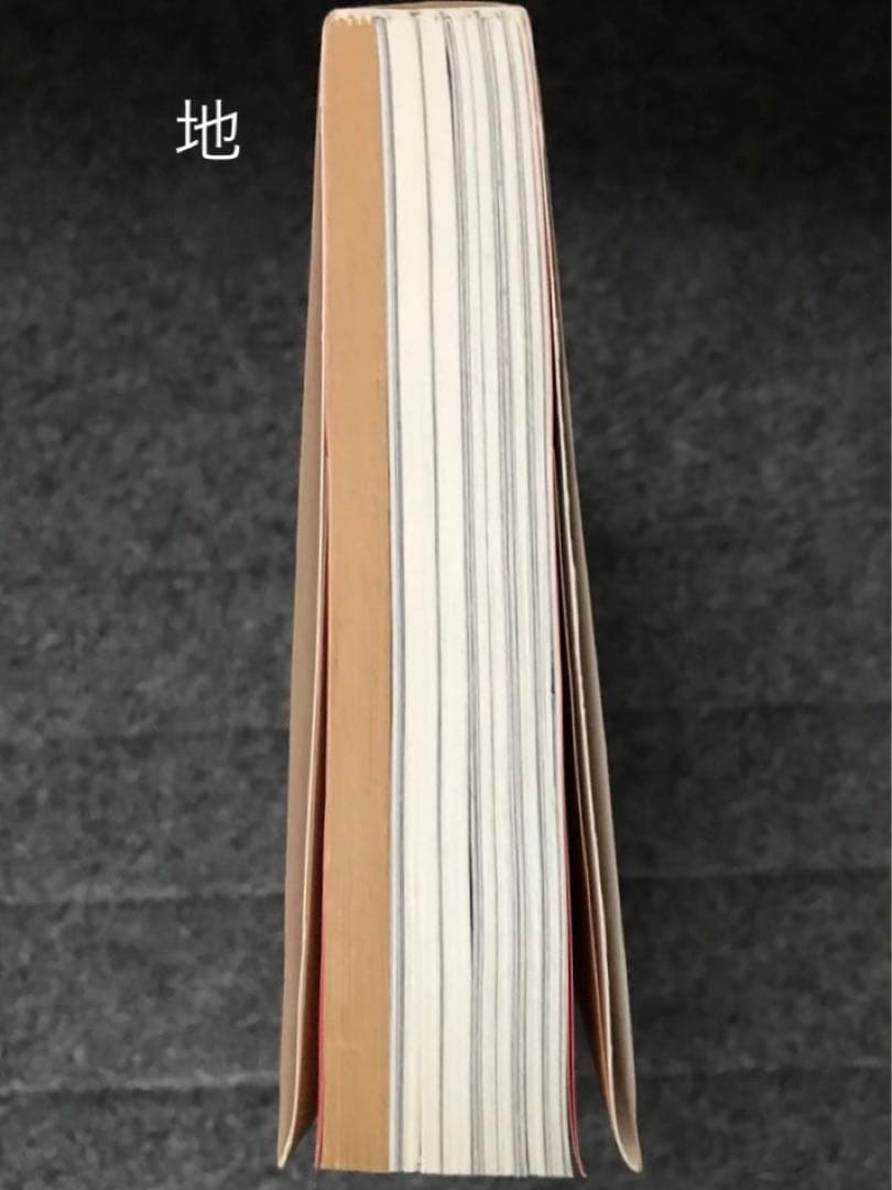 サウンドアート 音楽の向こう側、耳と目の間 /アラン・リクトAlan Licht