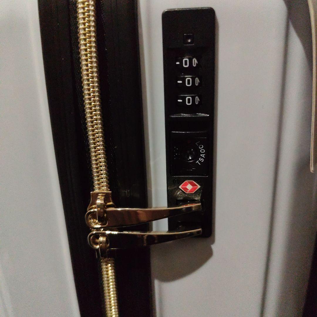 値下げ■当選品■激レア　アリナミン×ちいかわ　キャリーケース　スーツケース