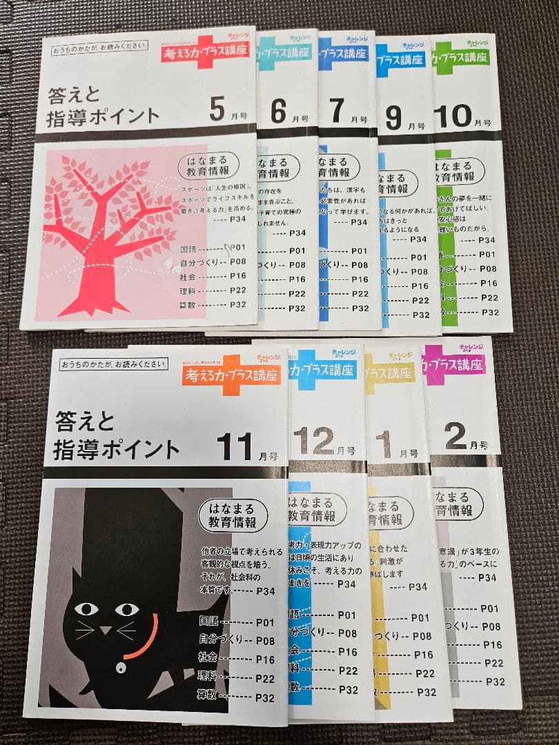 進研ゼミ 考える力プラス 小学講座 オプション 2年生 にゃっち