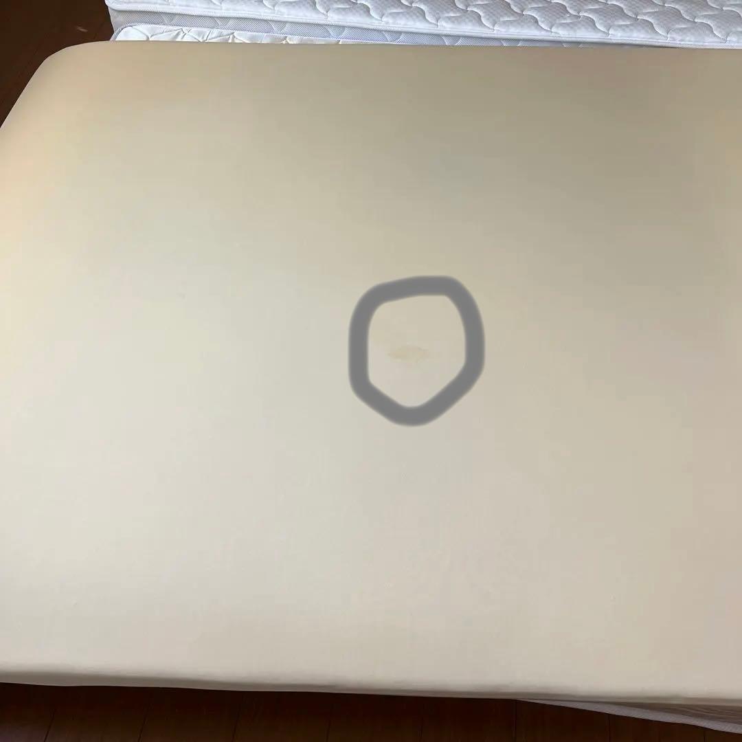 トゥルースリーパー正規品　クイーンサイズ