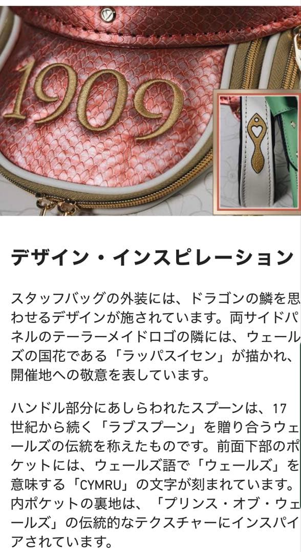 新品 テーラーメイド ドラゴン柄 Dragonborn キャディバッグ 限定品