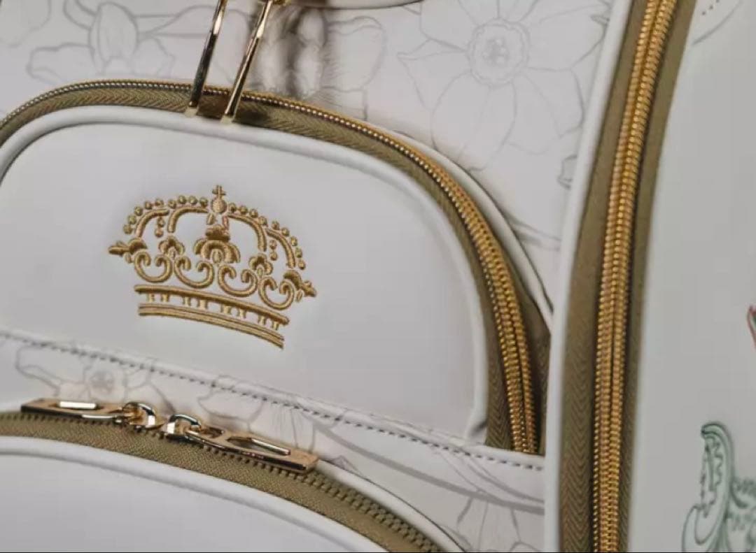 新品 テーラーメイド ドラゴン柄 Dragonborn キャディバッグ 限定品