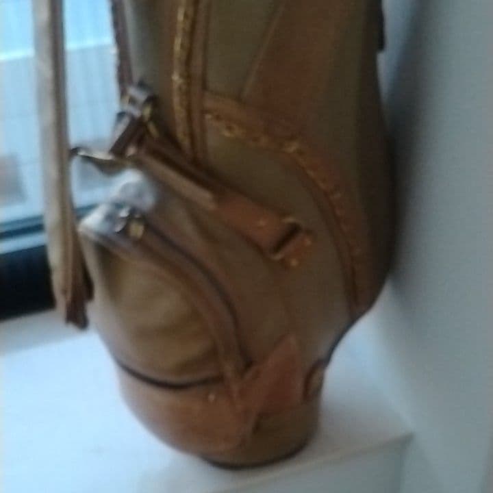 バレンザポーのゴルフキャディバッグ