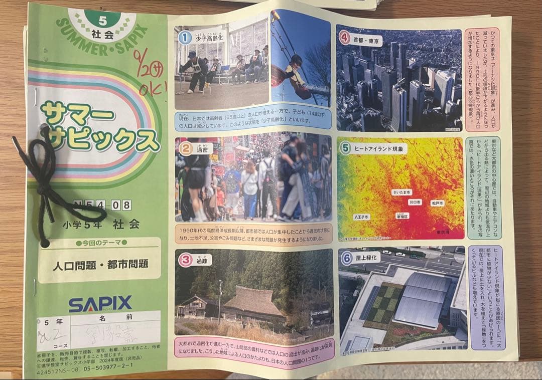 【サピックス5年生社会】 ディリーサピックス とサマーサピックスセット